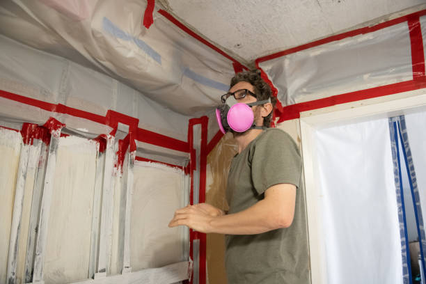 Best Biohazard Mold Removal  in El Segundo, CA