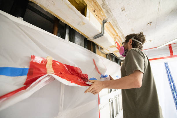 Best Mold Damage Restoration  in El Segundo, CA