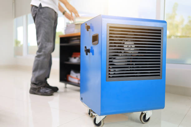 Best Air Quality Testing for Mold Spores  in El Segundo, CA