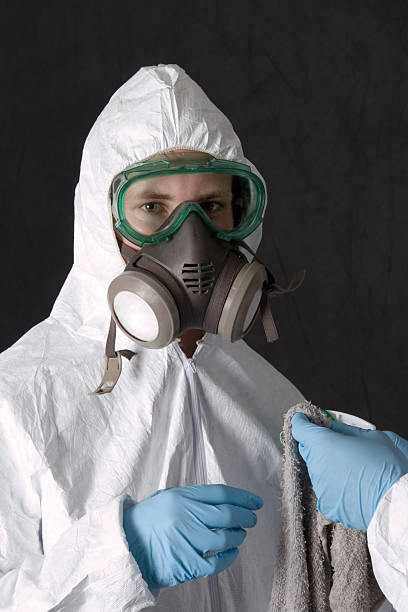 Best Environmental Consulting for Mold Prevention  in El Segundo, CA